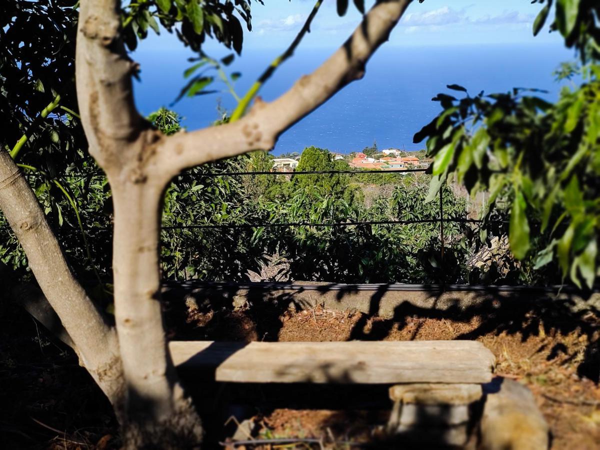 La Casa De La Cartita Villa Puntagorda  Bagian luar foto