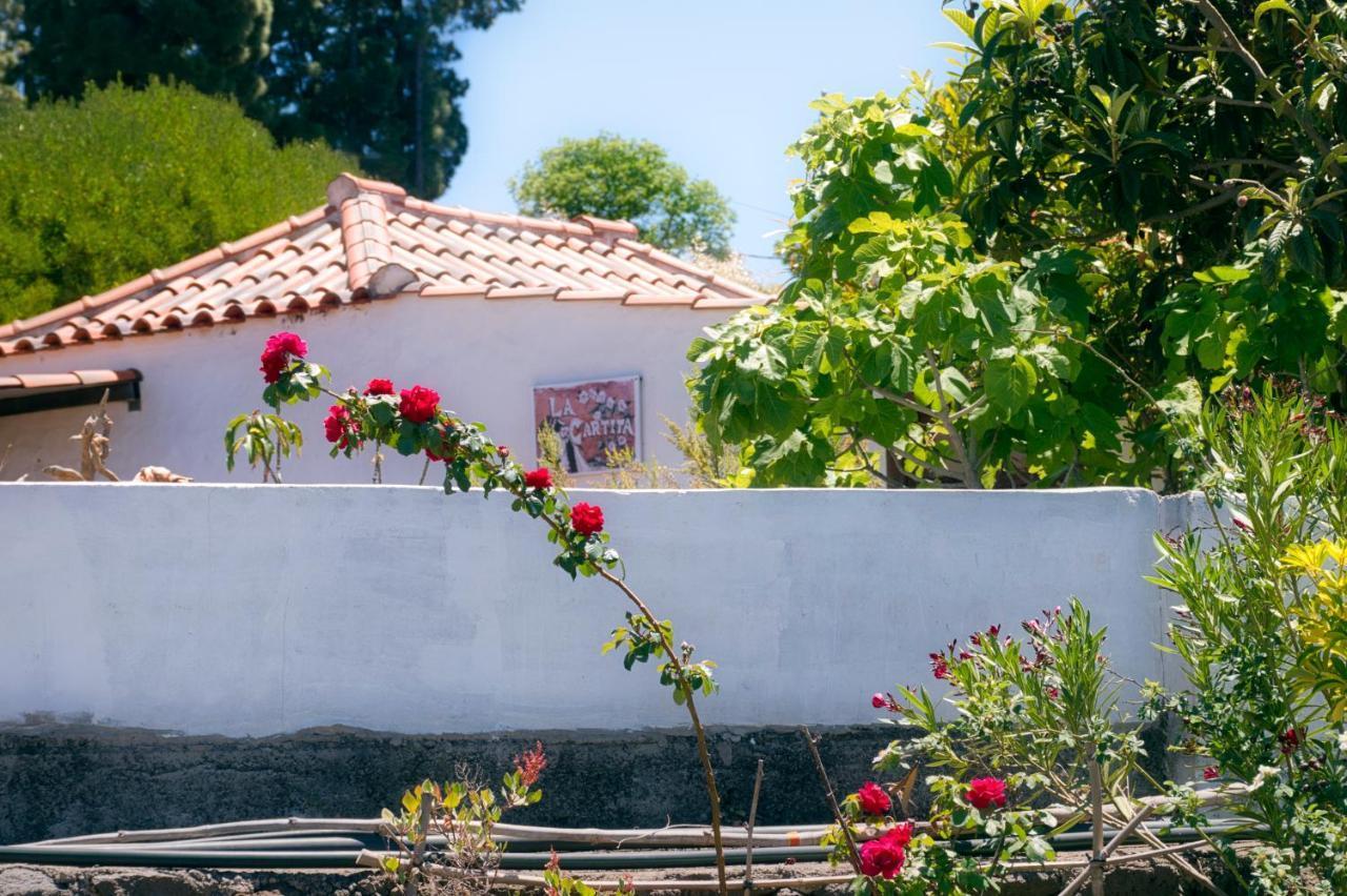 La Casa De La Cartita Villa Puntagorda  Bagian luar foto