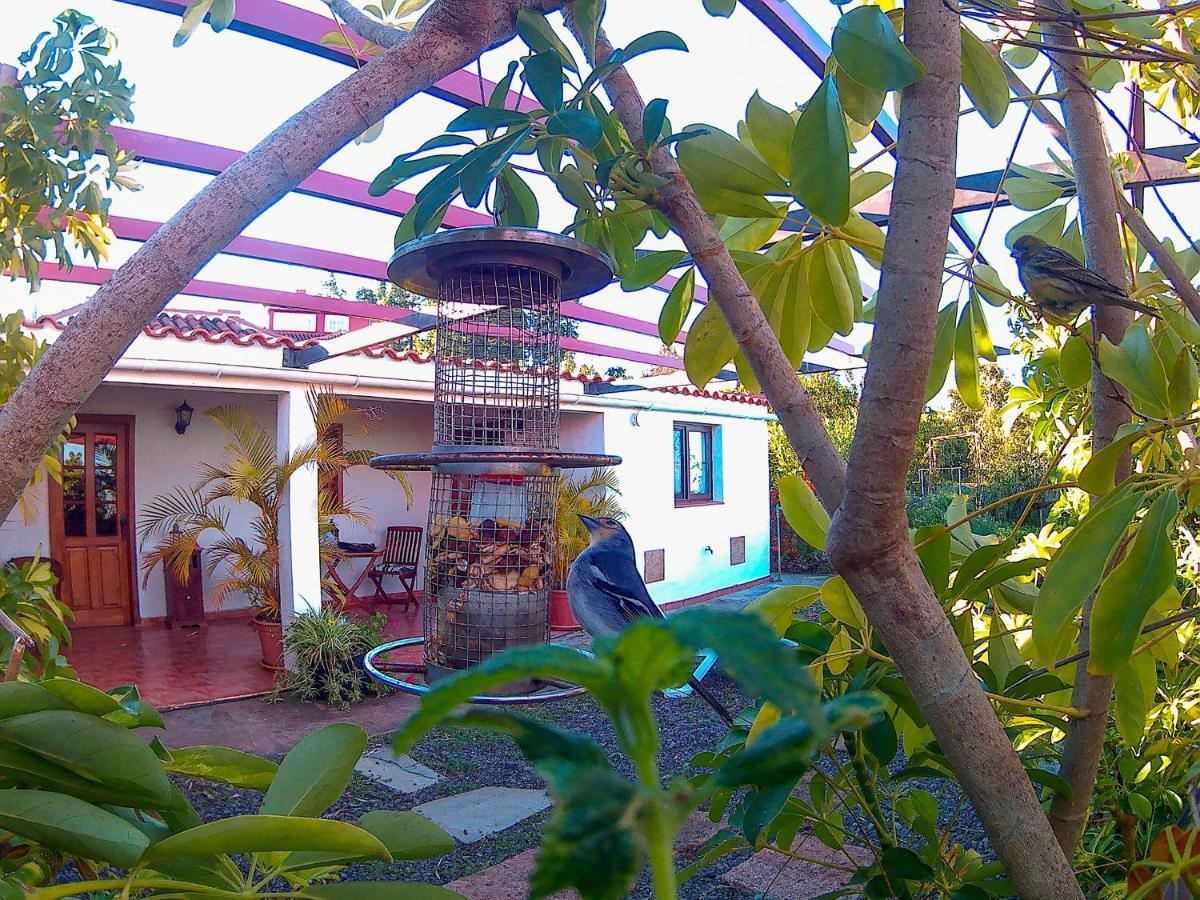 La Casa De La Cartita Villa Puntagorda  Bagian luar foto